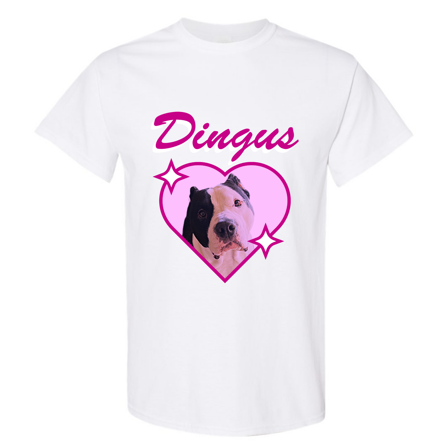 FRED IS A DINGUS MERCH T-SHIRT